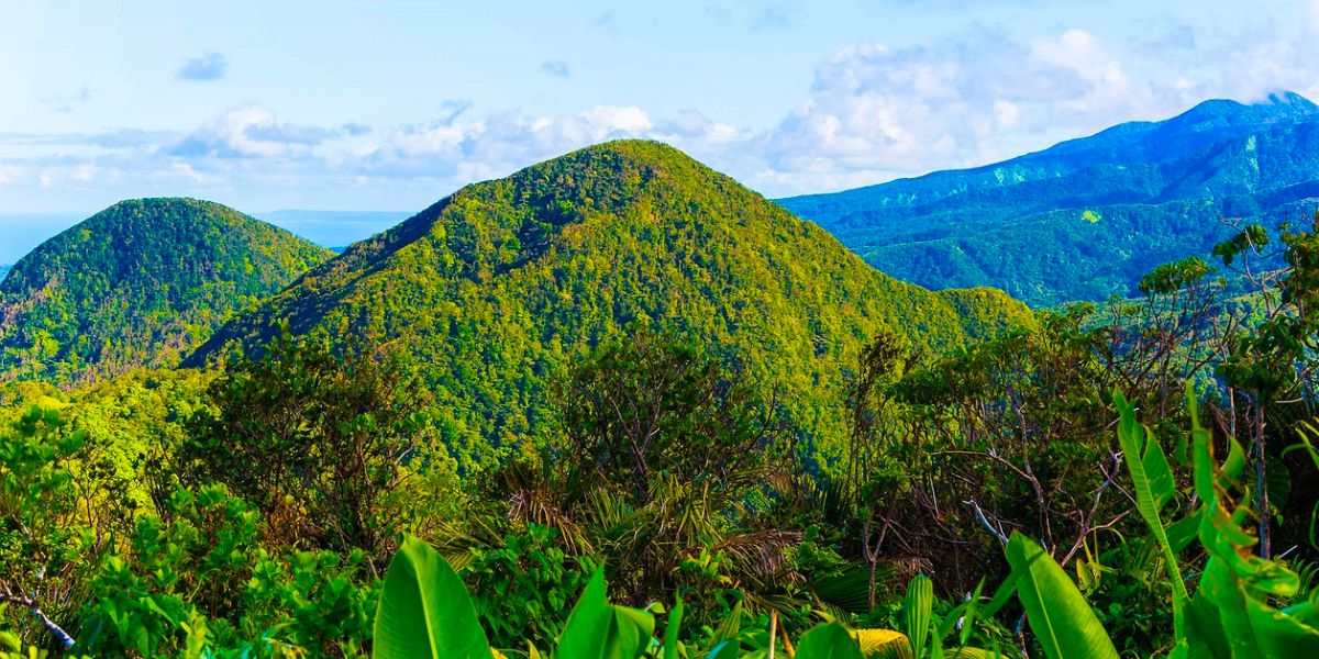 La Guadeloupe D Couvrir En Janvier Guide Pratique 2024 Terre Bleue   1 1 